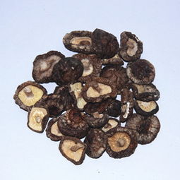 廠(chǎng)家直銷(xiāo)，正宗慶元小香菇 食用菌干貨批發(fā)新選擇